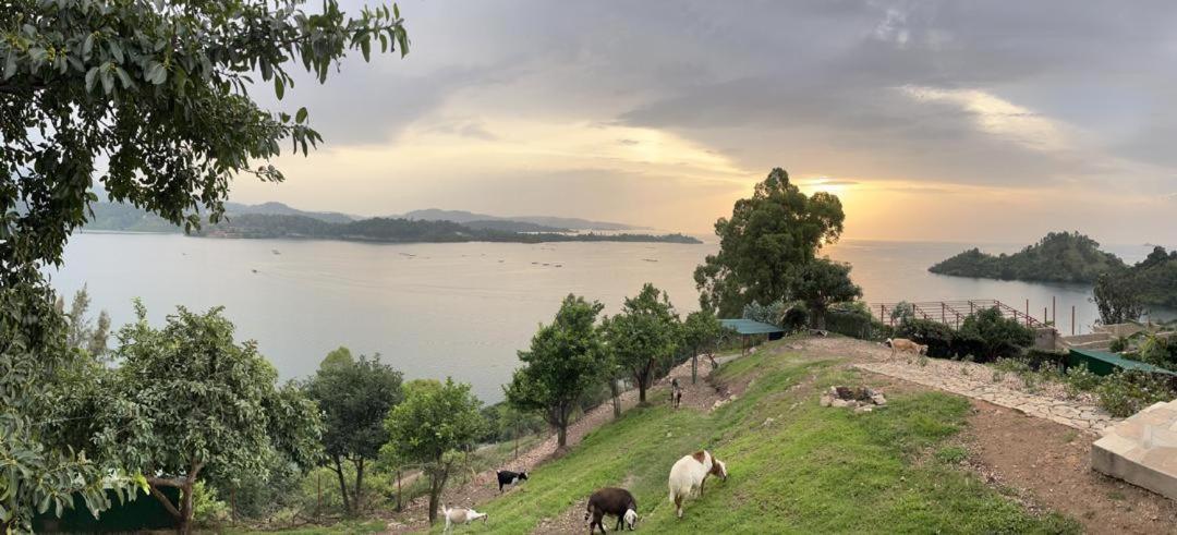 Amazi Land Home And Farm Stay Kibuye Exterior foto